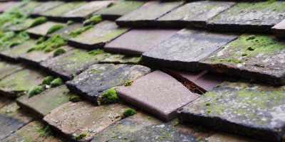 Bancyfford roof repair costs